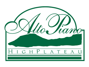 Alto Piano logo